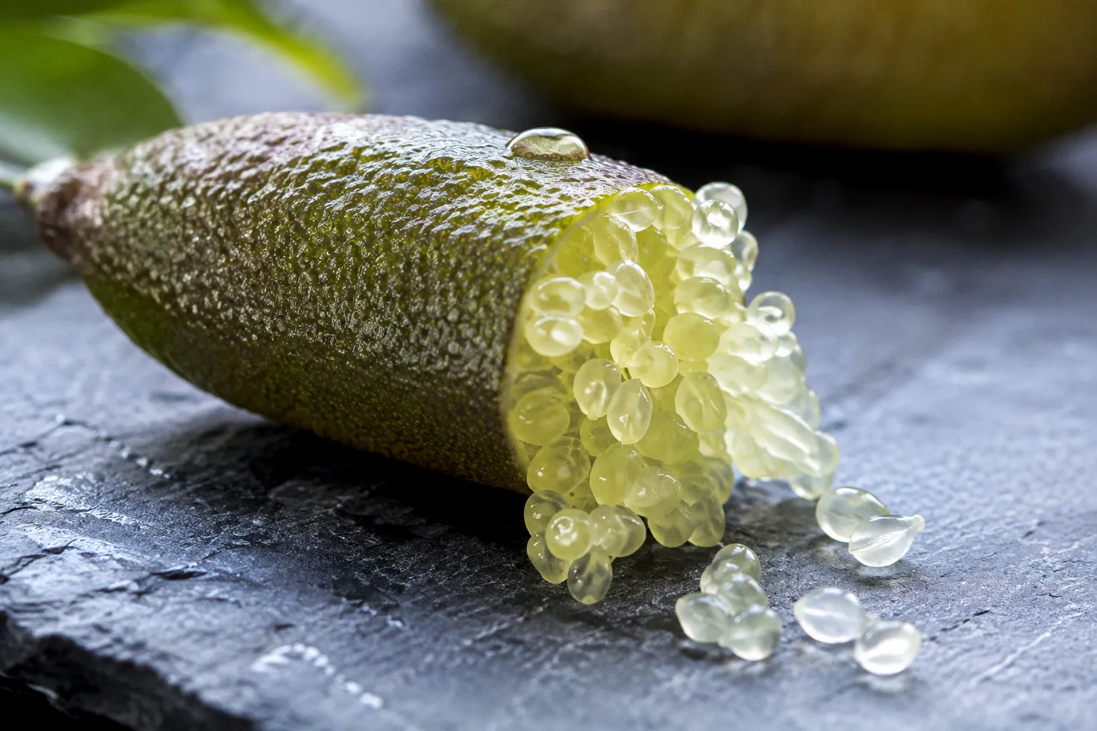 Finger Lime: How Native Fruit Acids Unclog Congested Skin