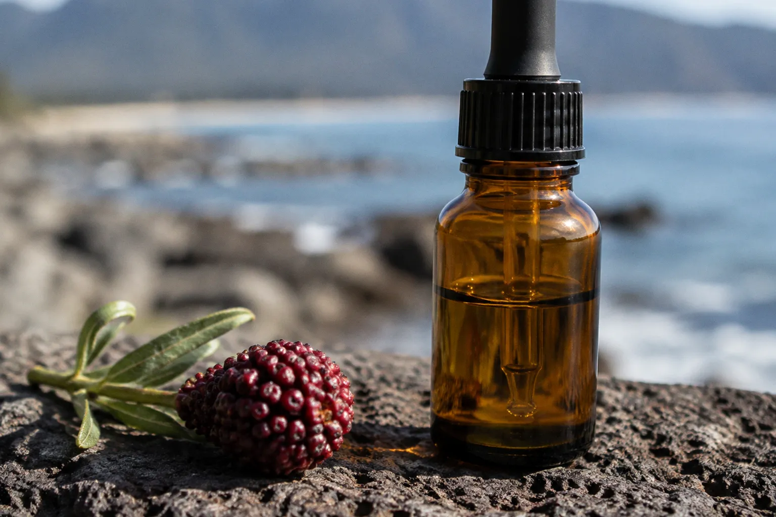 Mountain Pepper Berry vs Tea Tree: Which Calms Acne?