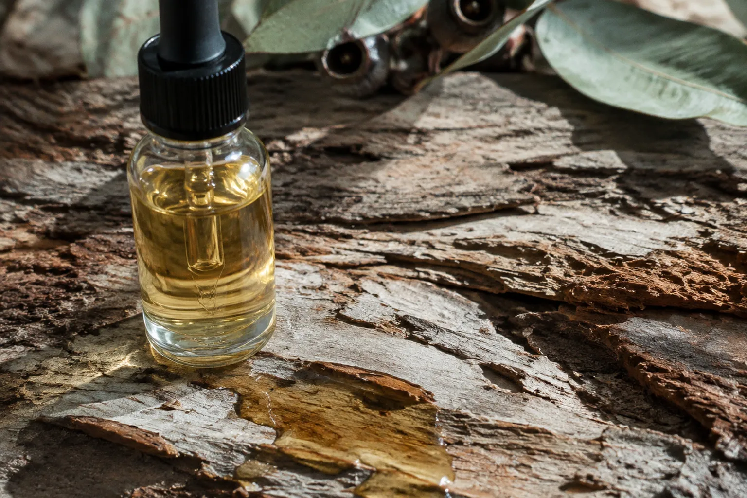 Oil Cleansing for Hormonal Acne: Is It Worth It?